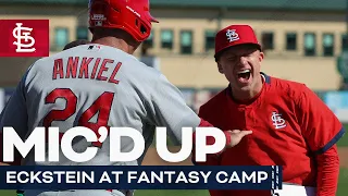 Mic'd Up: Eckstein at Fantasy Camp | St. Louis Cardinals