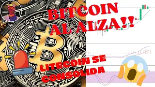 🚨Bitcoin y Litecoin en Ascenso!🚀Análisis de Tendencias: ¿Romperán las Barreras de los $70k y $115?🔥🤑