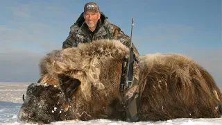 BFHA | Season 1, Episode 11 | Arctic Muskox, Caribou, and Polar Bear