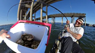 How to Catch Sheepshead With OYSTERS - Forget About Fiddlers! | HUGE New PB