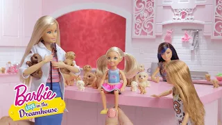 UN MARE DI CUCCIOLI | Barbie LIVE! In The Dreamhouse | @BarbieItalia