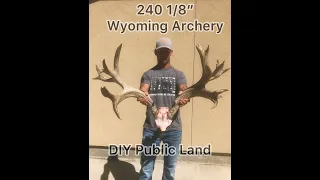 240” Wyoming Mule Deer Hunt