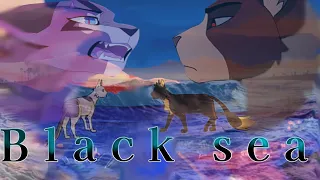 Black Sea|Warrior Cats Tribute(Hawkfrost&Lvypool)