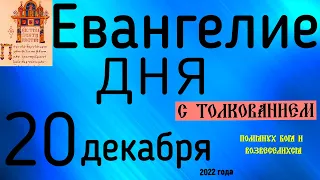 Евангелие дня с толкованием 20 декабря  2022 года 90 псалом