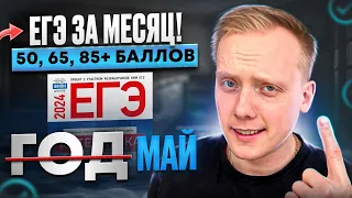 ЕГЭ по математике за МЕСЯЦ. Как? | 50, 65, 85+ баллов