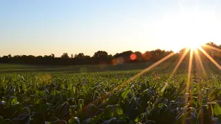 Reclaiming the food system: The fight for the ‘Right to Food’ #TWT20