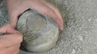 Fossil find and prep: Tumidocarcinus Giganteus fossil preparation time-lapse