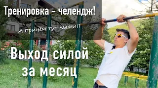 Слабо, выход силой за месяц?