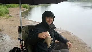 Рыбалка на Днепре в дождь. Холмы Могилёв.