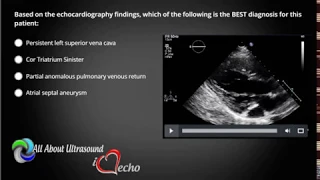 All About Ultrasound: Echo Registry Review