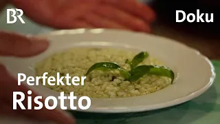 Perfekten Risotto kochen mit dem Schmidt Max | Italienische Küche | Rezepte | freizeit | Doku  | BR