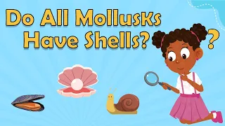 Do All Mollusks Have Shells? | Facts About Mollusks | Animal Facts For Kids | Facts For Kids