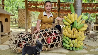 Harvest Banana & Chicken Garden Take it to the market to sell - Build a farm | Trieu Mai Huong