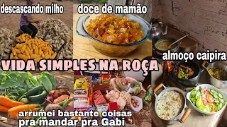 ROTINA DA MANHÃ NA ROÇA  ALMOÇO CAIPIRA NO FOGÃO DE LENHA/ DOCE DE MAMÃO/ ARRUMANDO COISAS PRA GABI