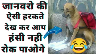 जानवरो की ऐसी हरकते जो आपको हंसा देगी 😁 | Animals Funny Moments #shorts