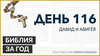 День 116: Давид и Авигея – «Библия за год» с о.Майком Шмитцем