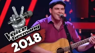 Little Feat - Willin (Liam Blaney) | The Voice of Germany | Blind Audition