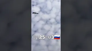 ✈️СУ-25см3🇷🇺 Russia vs Ukraine 🇺🇦