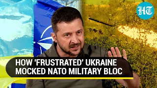 Putin has the last laugh as Ukraine lashes NATO; 'Come on, beg us for membership' | Watch