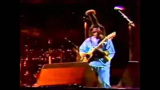 Steel Pulse Live In France (1985) - David Hinds Guitar  Solo