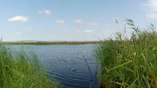 Рыбалка на речке Анапка.Что тут ловиться?
