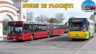 Buses in Ploiești 🇷🇴 🚌 (2023)