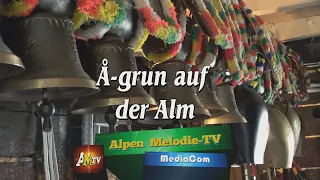 „Å grun“ auf der Steinhüt- Hochegg Alm - Kelchsau Tirol. Bitte Teilen Danke für dein Linke und ABO.