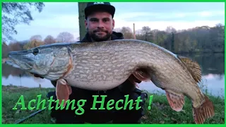 Angeln auf Hecht mit Köderfisch Pose und  Benni Angelt im Herbst Winter auf Raubfisch #Monster #Pike