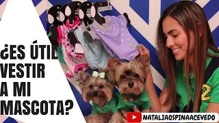 ¿Es necesario vestir a los perros?- Tips by Natalia Ospina