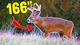 Missouri Whitetail Hunt - A 166" Beauty!