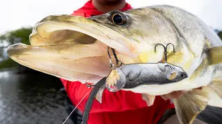 Rat Lure Saltwater Fishing Challenge