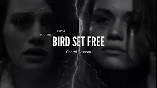 Cheryl Blossom & Lydia Martin || Bird Set Free - SIA