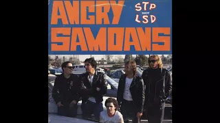 Angry Samoans ‎– STP Not LSD (Full album 1988)