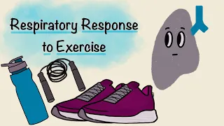 Respiratory Response To Exercise | Respiratory Physiology