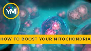 How to boost your powerhouse cells | Your Morning