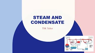 Steam and Condensate System