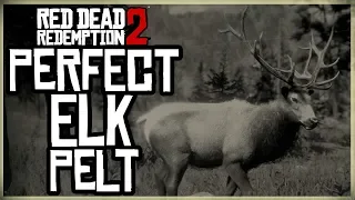 HOW TO GET A PERFECT ELK PELT - RED DEAD REDEMPTION 2 PRISTINE ELK HUNT 3 STARS