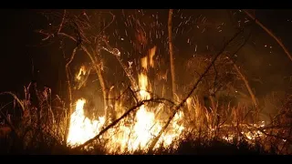 Incendie dans les Pyrénées-Orientales : le feu fixé mais les pompiers restent vigilants