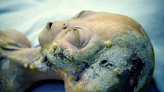 Alien Bodies Confirmed After Testing to be NON Human