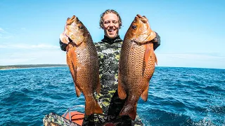 Spearfishing & Cooking DREAM FISH (Mangrove Jack Parcels)