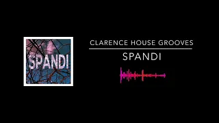 Clarence House Grooves - Spandi