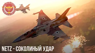 NETZ - СОКОЛИНЫЙ УДАР в WAR THUNDER