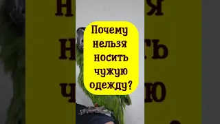 Почему нельзя носить чужую одежду?