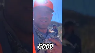 that Quail almost hit me! #short #shorts #hunting #quailhunting #youtubeshorts #video #upland