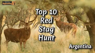Argentina Big Hunting Top Ten Red Stag Hunts