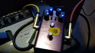 Stereo rig part 1. Fender the Pelt fuzz.