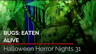 Bugs: Eaten Alive | Halloween Horror Nights 31 at Universal Orlando