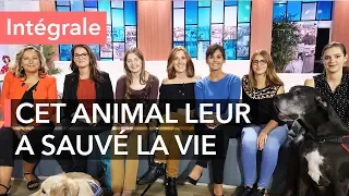 Qu'est-ce que l'équithérapie ? - Ça commence aujourd'hui