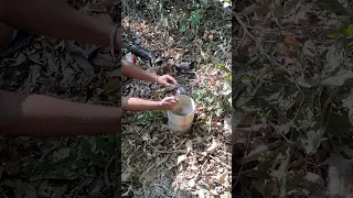 Blasting Sutli bomb Experiment inside Deep Borewell #shorts #experiment #diwali #fireworks