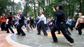 Demo 1 - Cheng Man-Ch'ing Tai Chi